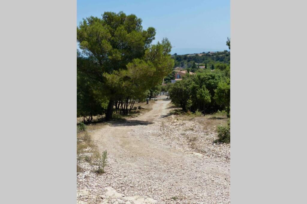 Studio Tudo Bem Villeneuve-les-Avignon Bagian luar foto